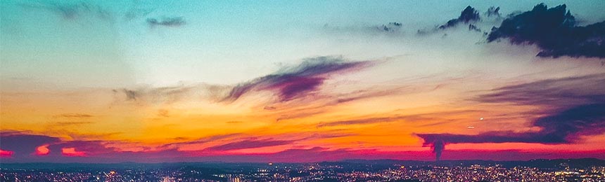 随州茶虫网_随州品茶